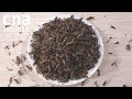 Crickets for dinner? | Why It Matters | Full Episode