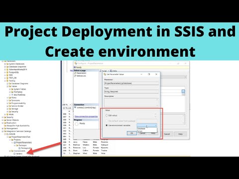 ვიდეო: რა არის გარემოს ცვლადები SSIS-ში?