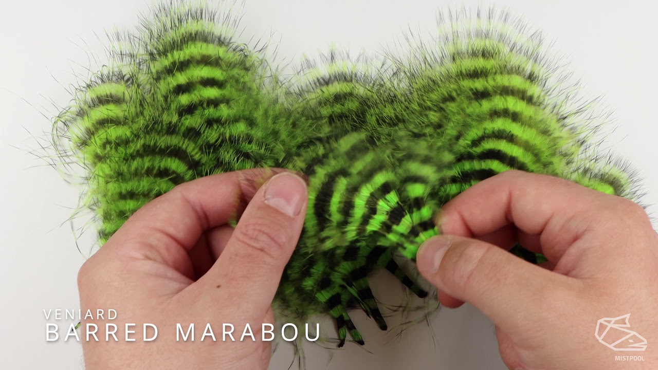 Veniard Barred Marabou
