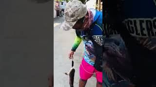 mamaw na dalag #airgunfishing #snakeheadhunting #fishinglife #mantap #pescador #fishingvideo