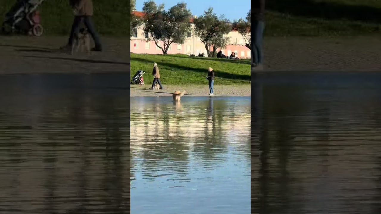 A slow sunday in Lisboa🤍 