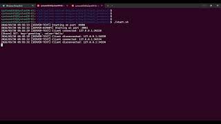 Day 32: Custom Binary Protocols vs. Text-Based Protocols