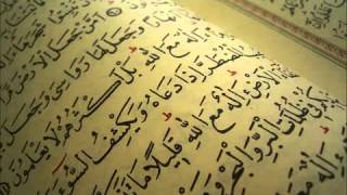 سورة البينة عبد الله المطرود