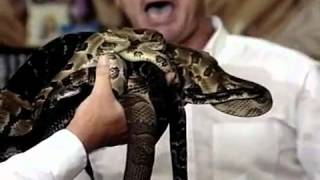 Pastor evangélico que realizava culto com cobra morre picado por cascavel nos EUA screenshot 1