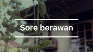 CINEMATIC | Sore Hari Berawan Story TikTok 30 Detik Viral