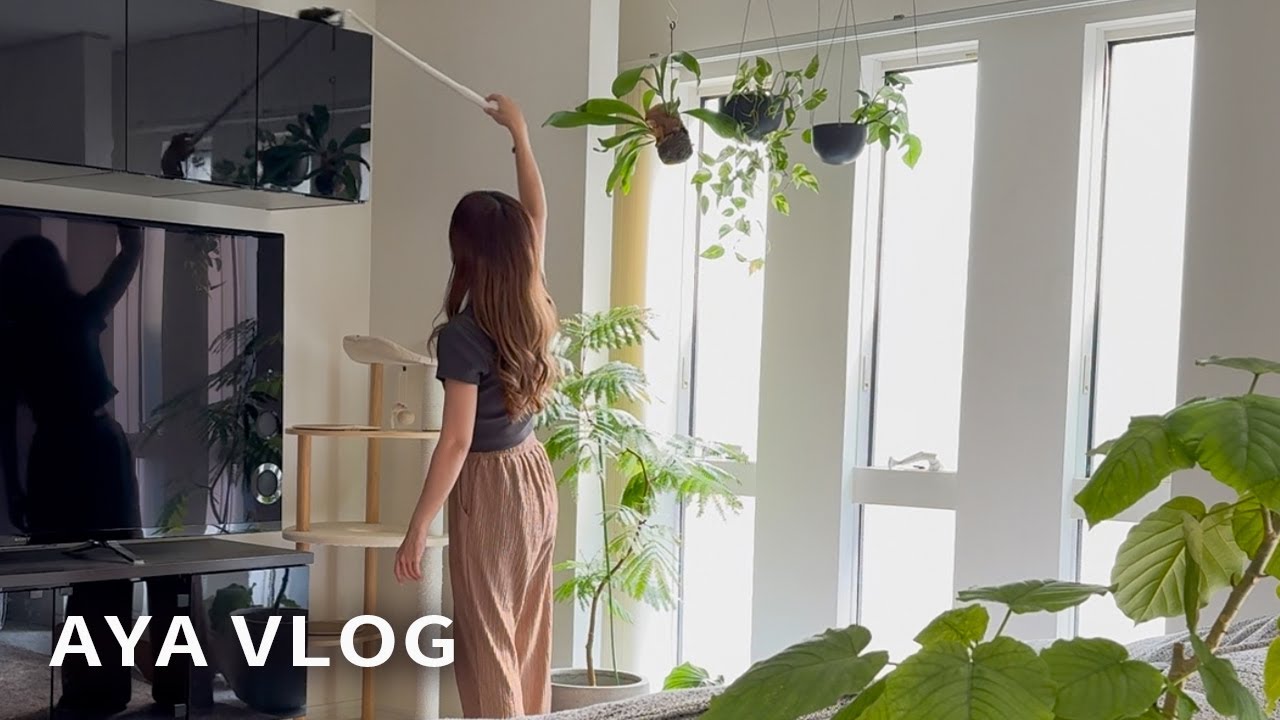 Мирная жизнь с детьми и кошками. Рецепты ужинов🍲Товары на Хэллоуин🎃👻Влог