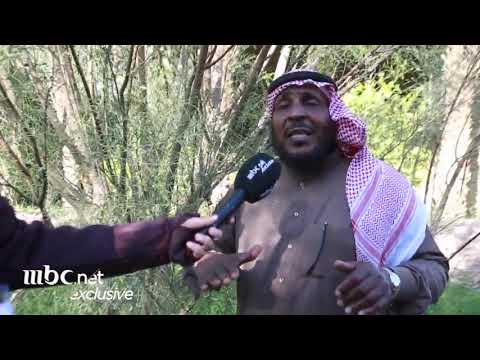 زراعة أشجار المورينجا في محافظة العلا
