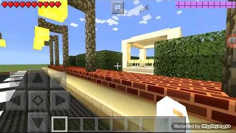 Join on My Leet Server!