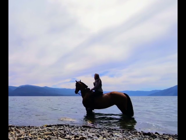 Cooling a horse off bareback