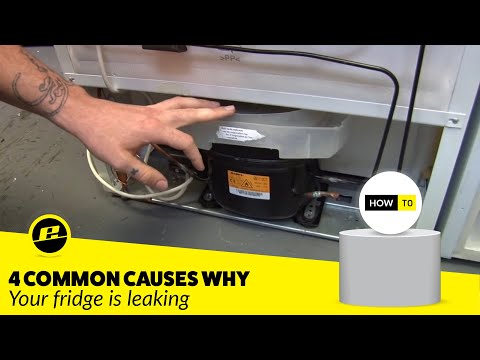 वीडियो: स्टेनलेस स्टील रेफ्रिजरेटर दरवाजे पर खरोंच कैसे निकालें