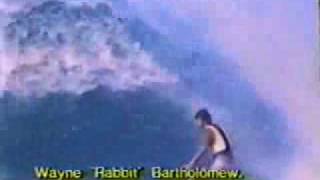 The Performers surfing video Rabbit Bartholomew