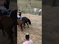 #somoscarrilesdelazona