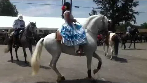 Nuevo parade - Annette Gomez