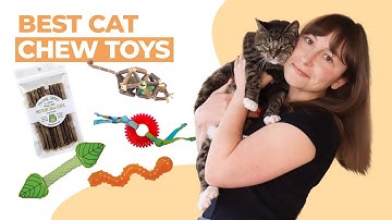 The Best Chew Toys For Cats