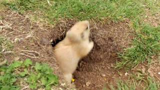 101_0403.MOV
