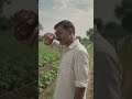 किसान भाई का कमाल! खेत के मेड़ों में तार बांधने का देसी जुगाड़ | Amazing Farmer Wire Fencing