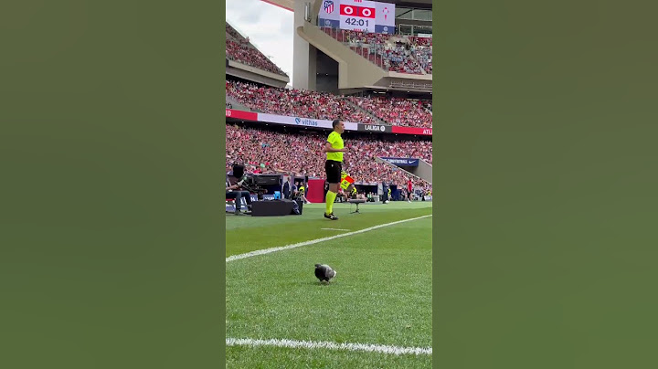 🐦 Atleti out of context