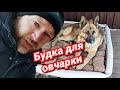 Саня Vlog/Муж трудится в вольере/Туда сюда обратно/Делаем из прихожки стенку в зал/Наша новая жизнь