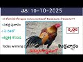 10 October 2025 today winning colours/Today winning colours /vision of kukkuta sastram in colours