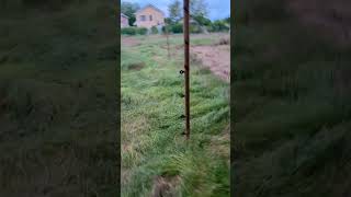 Am început montarea gardului electric pe noul teren! 🛠️🐐
