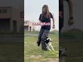 逆再生？に見える不思議なダンス　#dog #doglife #dogtricks