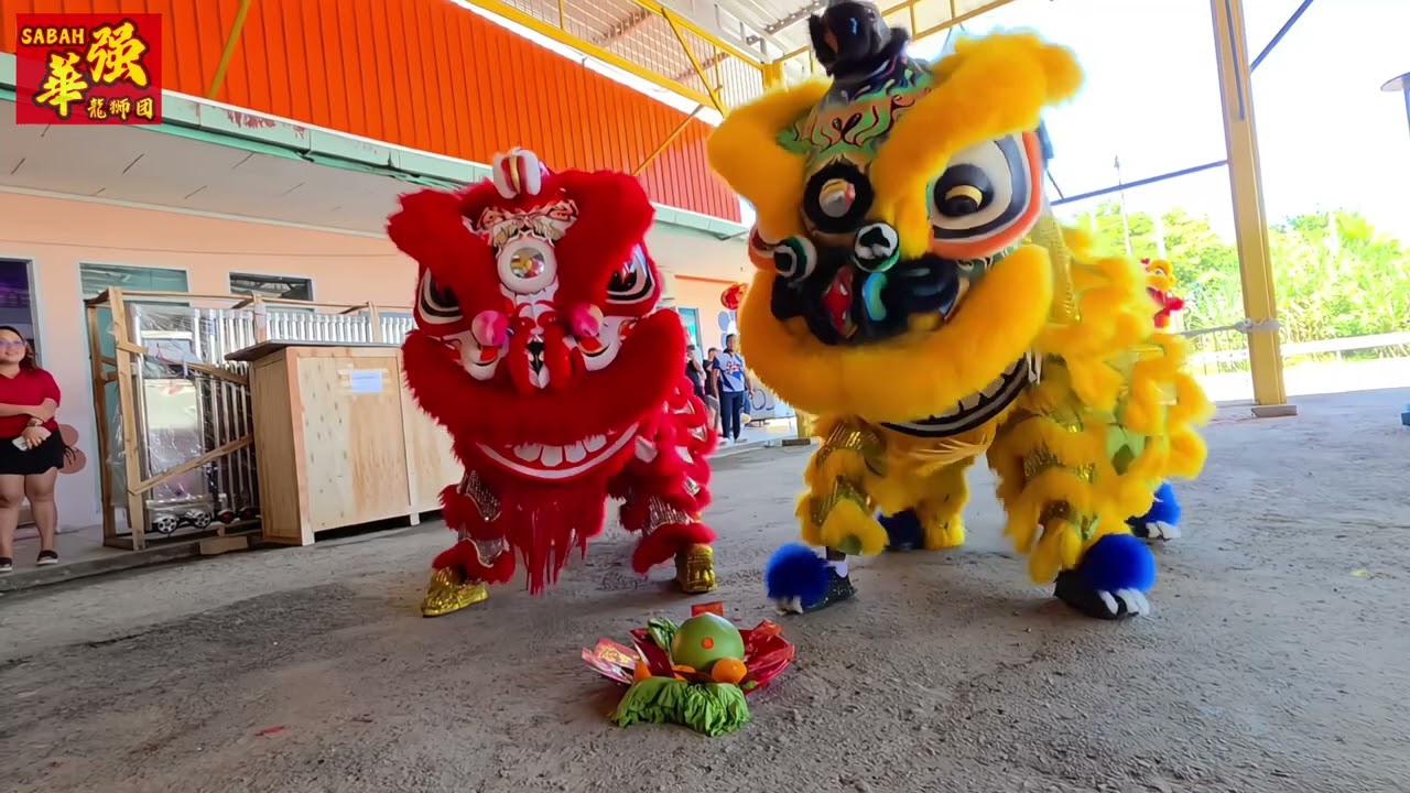 Liondance Performance - Sabah Hwa Kiong Dragon and Liondance Association (Business Opening Ceremony)