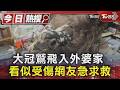 大冠鷲飛入外婆家 看似受傷網友急求救｜TVBS新聞 @TVBSNEWS01