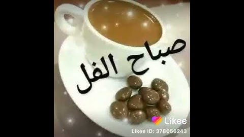 مقطع صغير من القرآن الكريم يشعرك بل قشعريرة "سورة الفلق". حالات واتس اب دينيه
