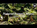 Natural Scenery Music Special Mix【For Work / Study】Restaurants BGM, Lounge Music, shop BGM
