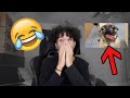 TRY NOT TO LAUGH OR GRIN CHALLENGE *IMPOSSIBLE*