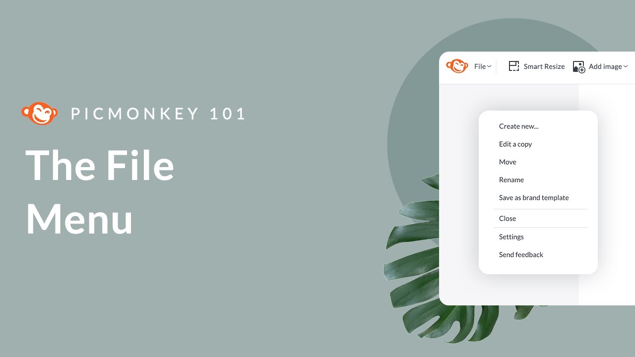 PicMonkey 101 | The File Menu