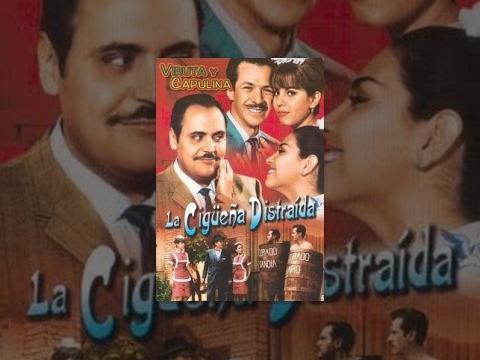 La cigüeña distraída still