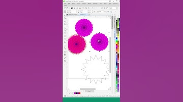 How to use Distort Tool in CorelDraw 2 (Part48)