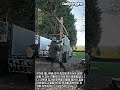 트럭 짐칸에 대형 원목 쉽게 올리기: 지렛대 원리 작업법 #worker #process #tools #lifting #timber