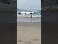 goa bech#Love #love #song #love movement