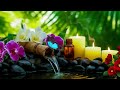 Relaxing Music for Sleep, Focus and Healing 🌿 Calming Nature Sounds for Work, Meditation and Peace
