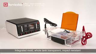 Unique Design Horizontal Electrophoresis System SVL-2