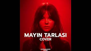 Mayın Tarlası Psychedelic Rock Cover