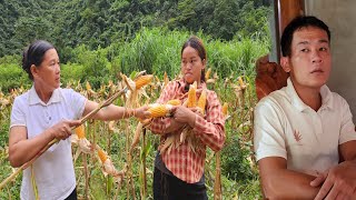 Download Lagu The SHOCKING Truth About Raising Pigs And Harvesting Corn MP3 Download Lagu The SHOCKING Truth About Raising Pigs And Harvesting Corn MP3