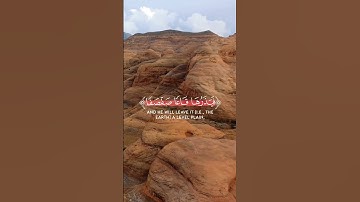 ويسألونك عن الجبال فقل ينسفها ربي نسفا | القارئ هيثم الدخين