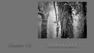 Downscope - Winter's Chamber: Chamber VII