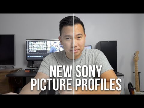 Video NEW Picture Profiles for Sony a6500 a6300 a7S II a7R... - youtube