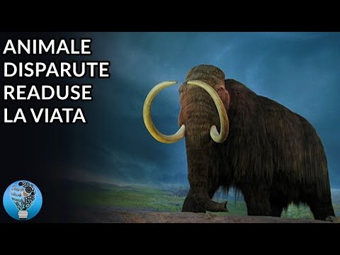 Video: Vezi Un Mamut: Ce Animale Preistorice Pot Fi Clonate - Vedere Alternativă