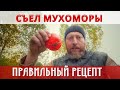 ПРИГОТОВИЛ МУХОМОРЫ ПРАВИЛЬНО И СЪЕЛ! КАК ГОТОВИТЬ МУХОМОРЫ!