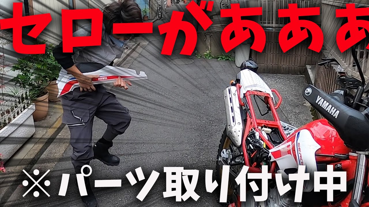 新型セローにキャリア取り付けした結果。【デイトナ マルチウイング 