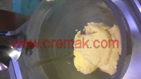 Swirl freeze fruit ice cream frozen yogurt blender