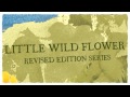 Little Wild Flower Amish series