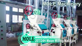 20T/24H maize milling machine