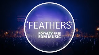 Nutronic - Feathers (Royalty Free EDM Music)