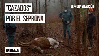 Este cazador podría extender una grave enfermedad por su imprudencia | Seprona en acción